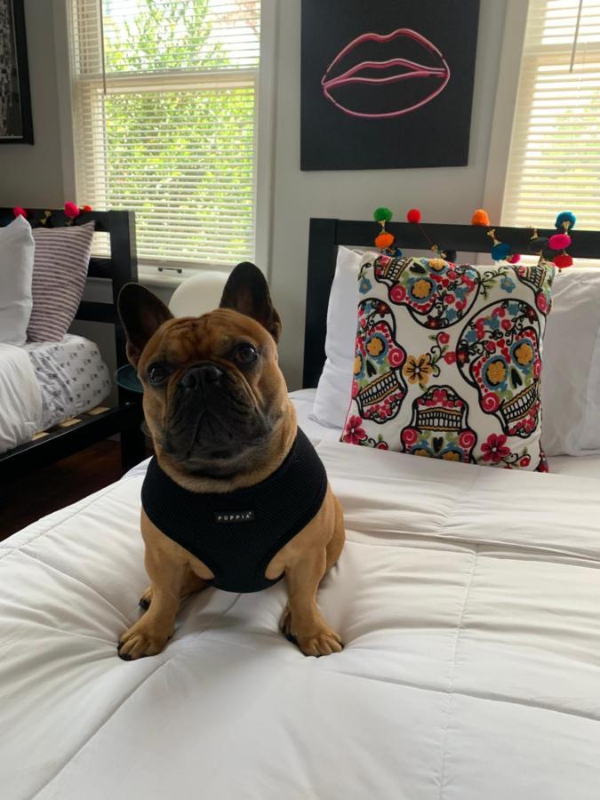 فيلا Vibing In The Heights/Breweries/Food/Petfriendly تامبا المظهر الخارجي الصورة
